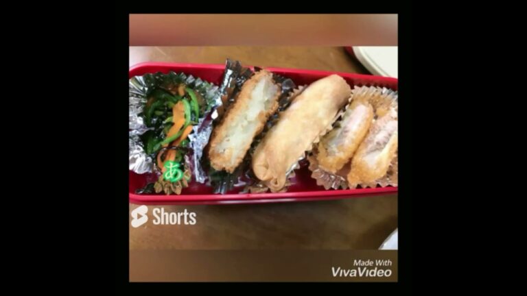 これだから毎日続いた高校生のお弁当／茶色いお弁当