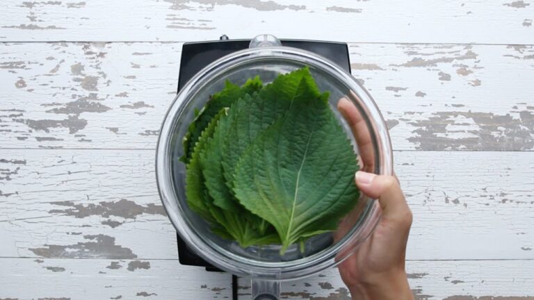 大葉が香る♪ 和風ジェノベーゼパスタ