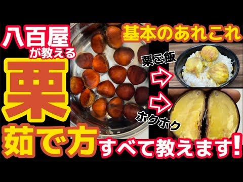 実は簡単‼八百屋が教える【栗の茹で方】基本のすべて
