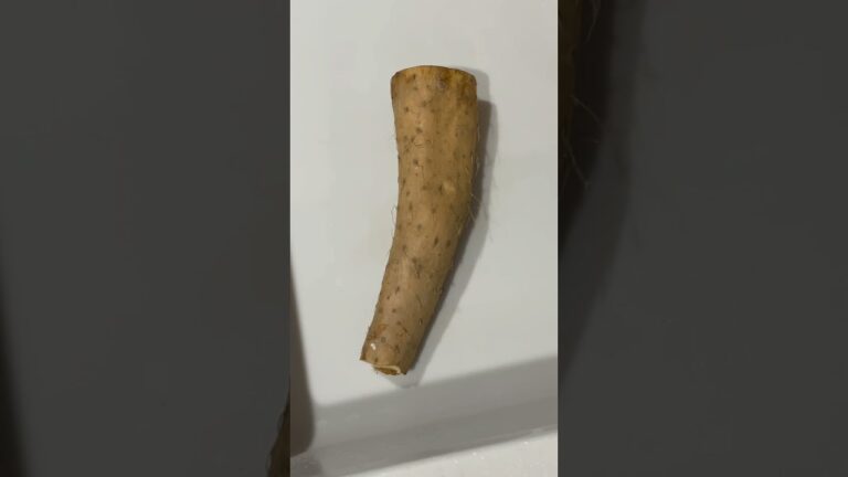 シンプルでウマイ！長芋のフワフワズボラ焼き