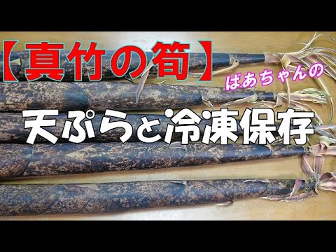 【真竹の筍】筍の天ぷらと冷凍保存『天ぷらはビールのおつまみに最適！冷凍した筍はメンマや煮物に！』Let's eat season's food