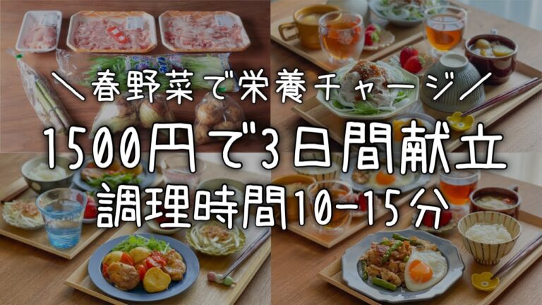 【3日間の献立】超時短で作れる節約晩ごはん#8