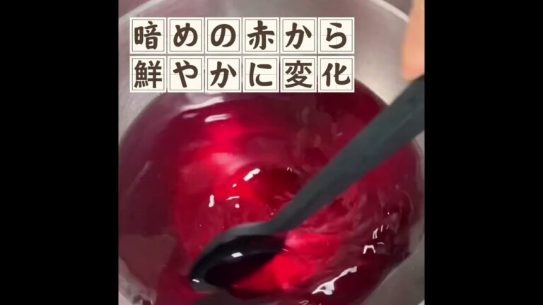 赤紫蘇ジュース(保存用)の作り方