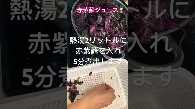 【赤紫蘇ジュース♪】③#かんたんレシピ #赤紫蘇ジュース #夏レシピ#クックパッド参考#赤紫蘇#夏ジュース