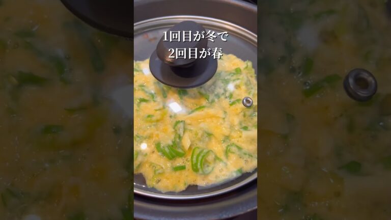 【長芋レシピ】長芋でお好み焼き　ふわふわカリカリ　#shorts #簡単レシピ