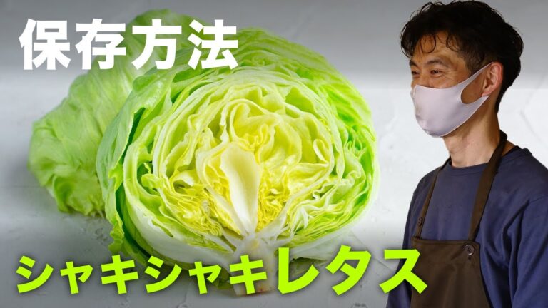【レタス】美味しく長持ちする扱い方。しなしなレタスも1分でシャキシャキに復活させる方法