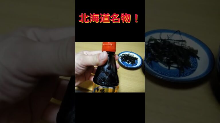 北海道名物ソラチ豚丼のたれで豚丼作った！