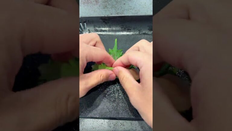 【-10kg飯】絶品梅しそささみ