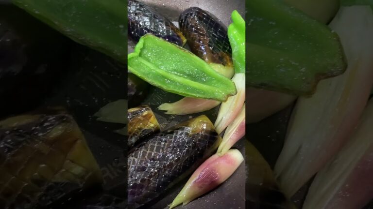夏バテでも食べられる野菜の焼き浸し🍆🫑 #きょうの料理 #よるごはん