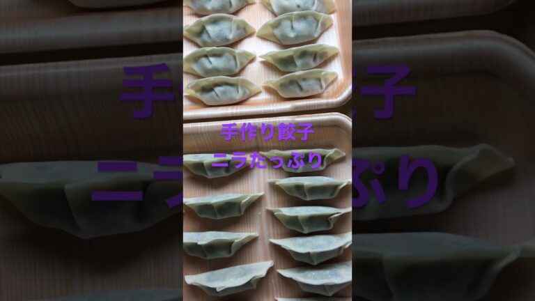 今日はニラを沢山いただいたのて　ニラたっぷりの餃子を作りました。餃子の皮が足りないので買い足しに行きます♪