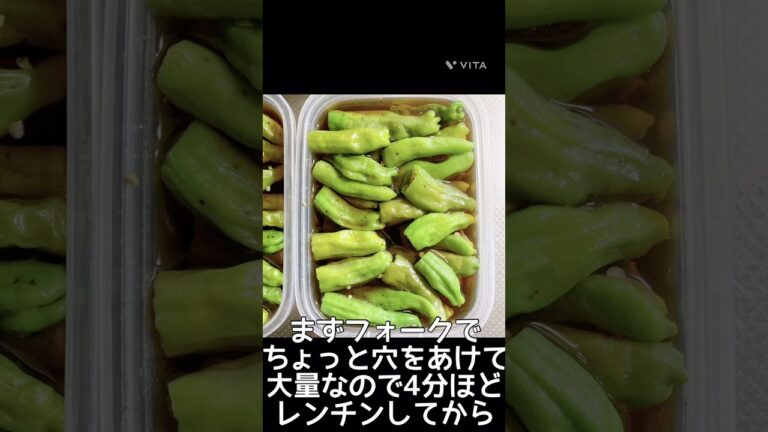 高知のししとうでめんつゆ漬けを作ってみた動画 #shorts #作ってみた ＃料理 #高知