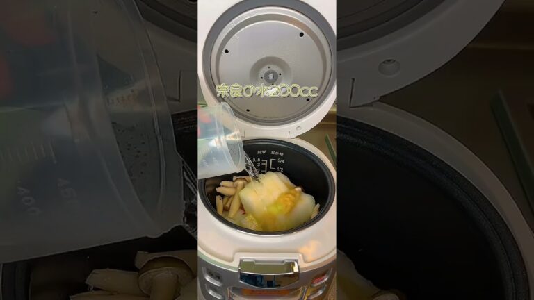 圧力鍋を購入するはずが炊飯器を買ってしまったので「冬瓜の煮物」を作りました【cooking】【ASMR】  #みっちょす  #mitchoos #冬瓜