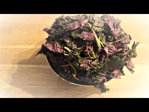 【夏バテ解消】赤紫蘇ジュースの作り方・簡単レシピ【Shiso juice】