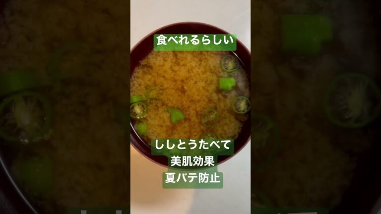 32杯目　ししとう