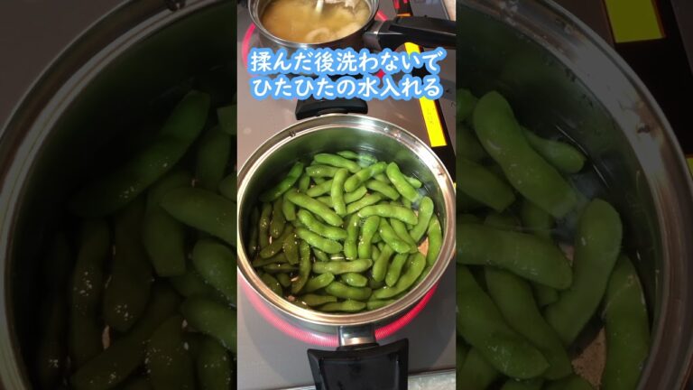 枝豆の茹で方！ビールのおつまみにも #料理動画 #shorts