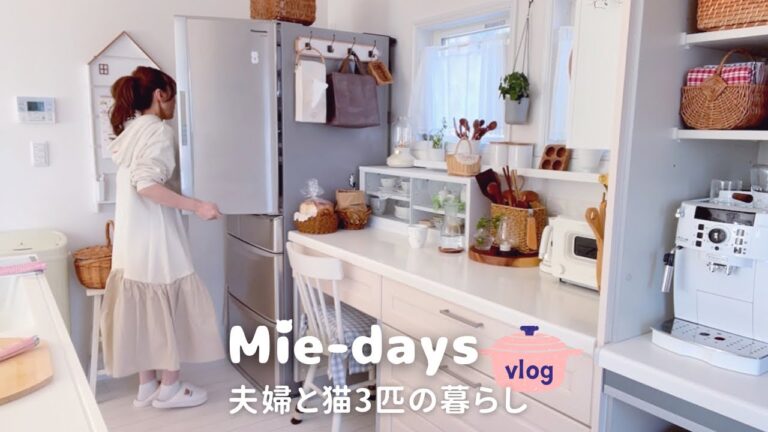 169. [夫婦と猫3匹の休日]お弁当にも使える常備菜作り,一人暮らしの娘のお家に遊びに行く日,VLOG