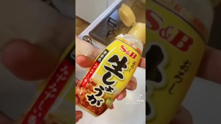 4児ママ〜生姜焼き〜