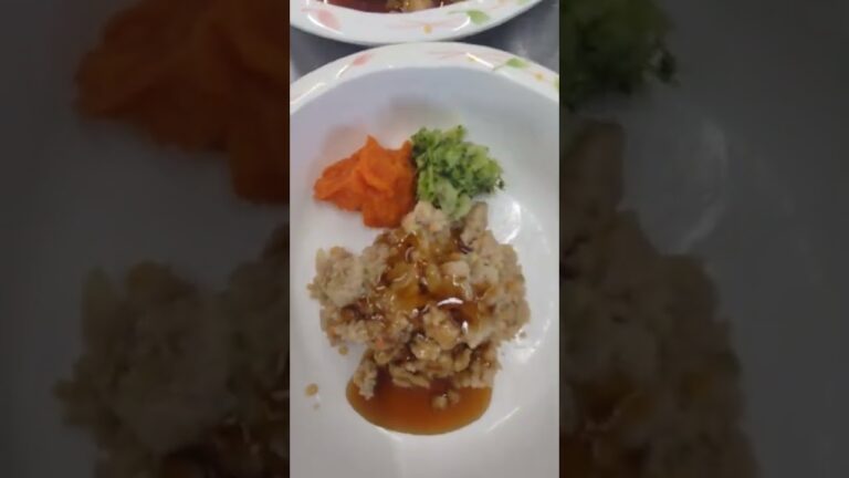 介護施設食事。野菜豆腐ハンバーグ照り焼きソース