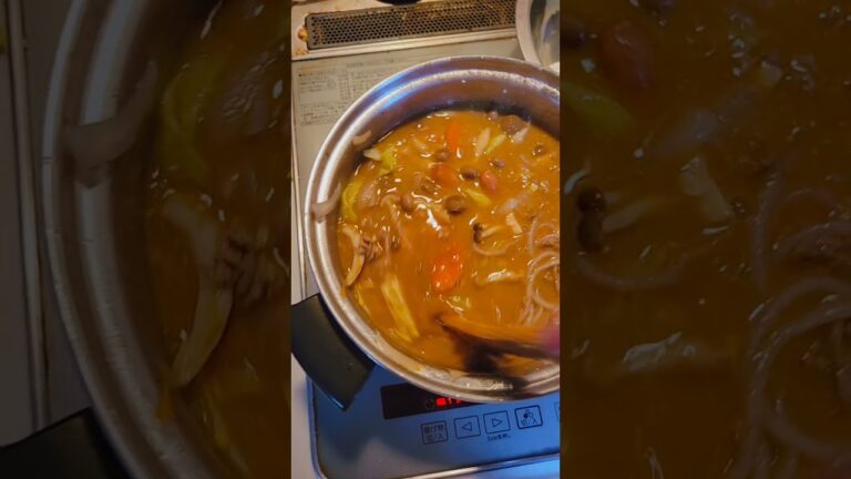 カレー作ってみた！材料、糸こんにゃく、肉、チーズ、キャベツ、ニンジン、ウィンナー、卵！しめじ、調味料、ウースターソース、うまくちしょうゆ、こしょう、そうめんつゆ、ポン酢、マヨネーズ！、絵柄やばすぎる！