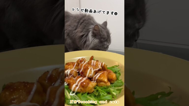 鶏ムネ肉の照り焼きチキンwith cats #shorts