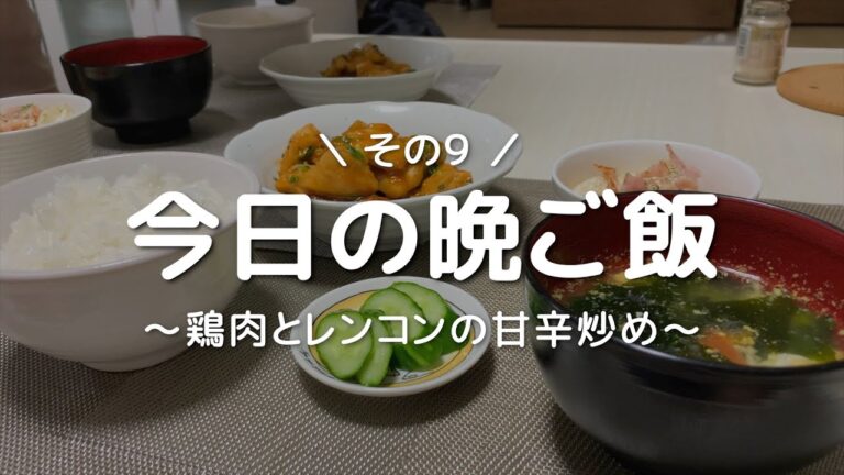 【二人暮らし】今日の晩ご飯｜鶏肉とレンコンの甘辛炒め【1ヶ月食費2.5万円】
