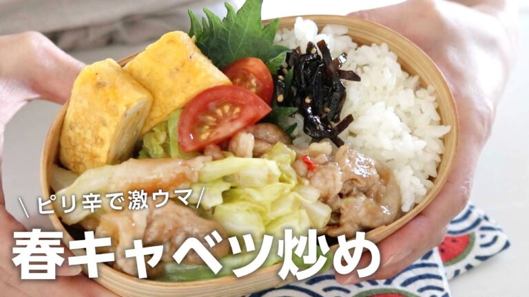 【お弁当作り】たった2品の簡単おかず！豚肉と春キャベツ炒め弁当bento #675