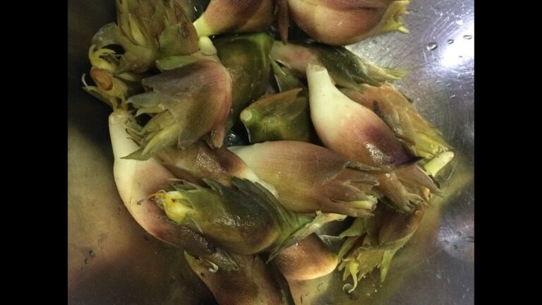 「みょうが甘酢漬け」作り方