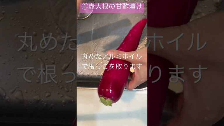 【赤大根の甘酢漬け♪】#かんたんレシピ #赤大根#甘酢漬け#甘酢#畑から収穫#赤大根祭り#5月の赤大根