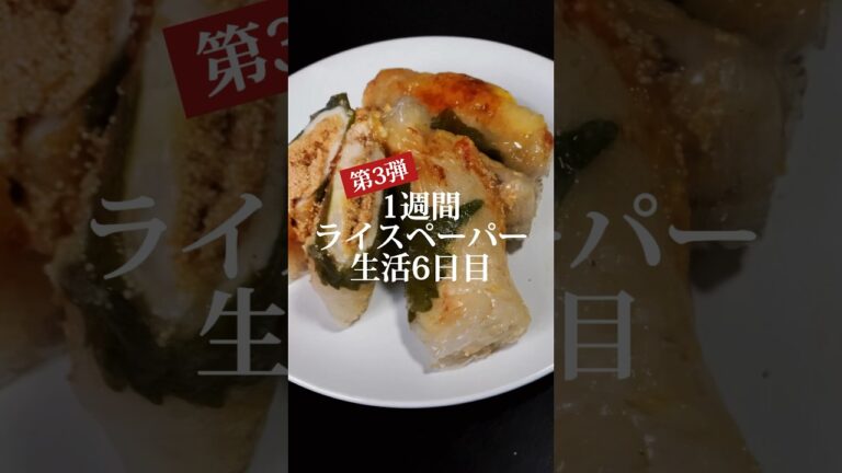 1週間ライスペーパー生活6日目🥟今日のおつまみ決定‼クセになるライスペーパー明太ささチー大葉春巻き #shorts