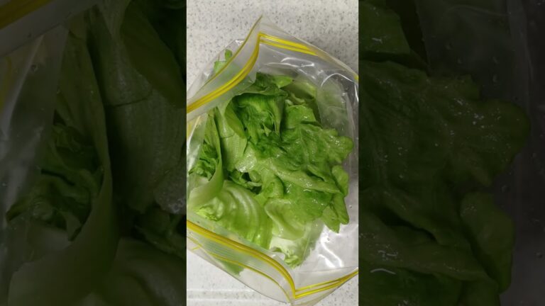 レタスのふりふりサラダの作り方が簡単すぎる