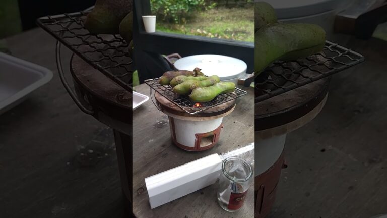 ミニ七輪でそら豆を焼く　雨の日