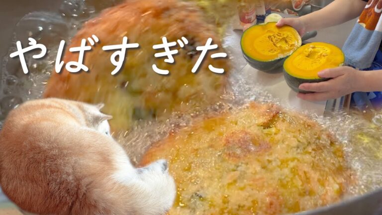 採れたてのかぼちゃのフルコース＆コロッケ柴犬のボス