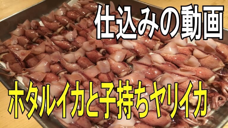 【仕込み動画】　ホタルイカと子持ちヤリイカのそうじ