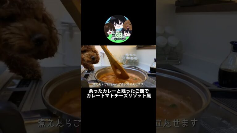 余ったカレーと残ったご飯でカレートマトチーズリゾット風