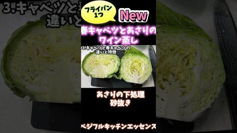 フライパン1つ春キャベツとあさりのワイン蒸し・下処理砂抜き #野菜ソムリエ料理教室 #野菜レシピ #あさりのワイン蒸し　#あさりの砂抜き
