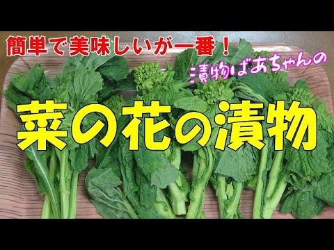 【超簡単】菜の花の漬物『麵つゆに漬けるだけ！！ビールやお酒の付け出しに美味し～い』