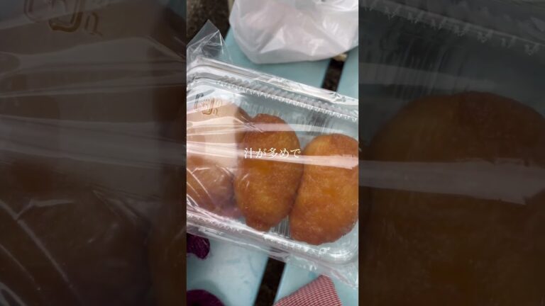 本当に運気が上がった開運グルメ「昔ながらのいなり寿司」豊川稲荷を参拝後に食べる #shorts