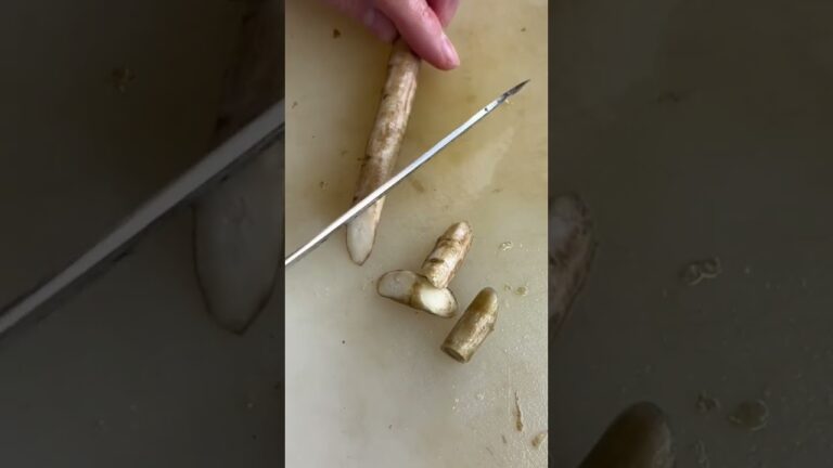 ごぼうの乱切り【鶏ひき肉と根菜の煮物】