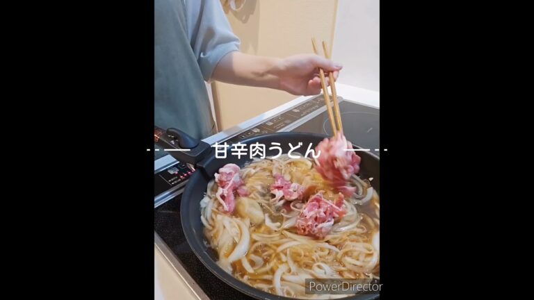 甘辛肉うどん