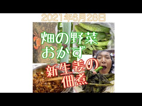 畑の野菜おかず　新生姜の佃煮