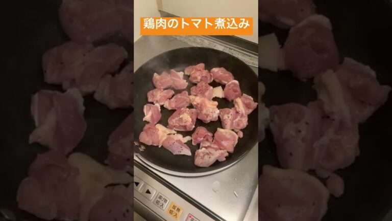 鶏肉のトマト煮込み