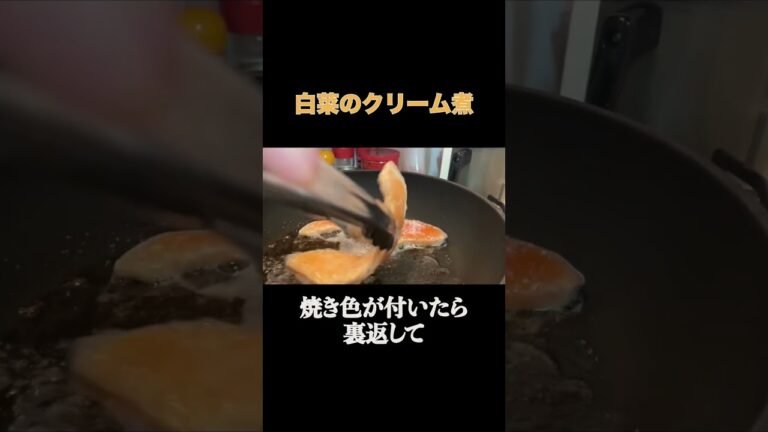 優しい味のクリーム煮込み#料理 #shorts