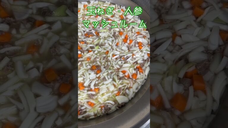 保育園のハヤシライス✨玉ねぎたっぷりで激うまです✨ #管理栄養士 #保育園栄養士 #保育園給食 #ハヤシライス