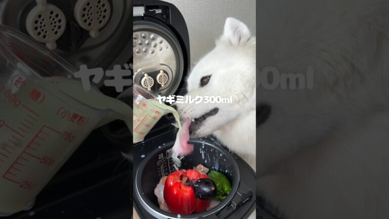 夏野菜たっぷりグリーンカレーつくったら爆食してくれました！※骨は取り除いています