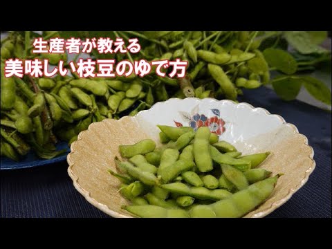 農家が教える枝豆のゆで方　ポイント4つ（あとは収穫のタイミング）