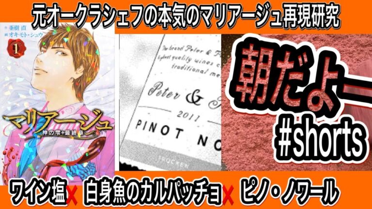 【漫画飯】神の雫＋最終章マリアージュより　ワイン塩とカルパッチョとピノノワールのマリアージュを再現研究！#マンガ飯 #shorts