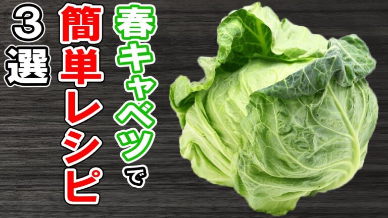 春キャベツ簡単レシピまとめ3選！副菜からメインまで！冷蔵庫にあるものでお手軽おかずの作り方/キャベツレシピ/春キャベツレシピ/作り置きレシピ/お弁当おかず【あさごはんチャンネル】