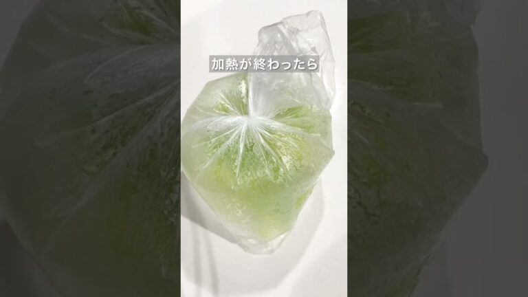 頑張らない5分バカうまキャベツ　#時短レシピ #時短料理 #アイラップ #簡単レシピ #簡単料理