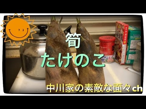 【第十弾】たけのこの下処理から、わかめとタケノコの煮物