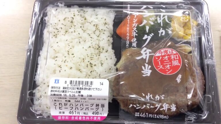 これがハンバーグ弁当 今度は和風オニオンソース ローソン